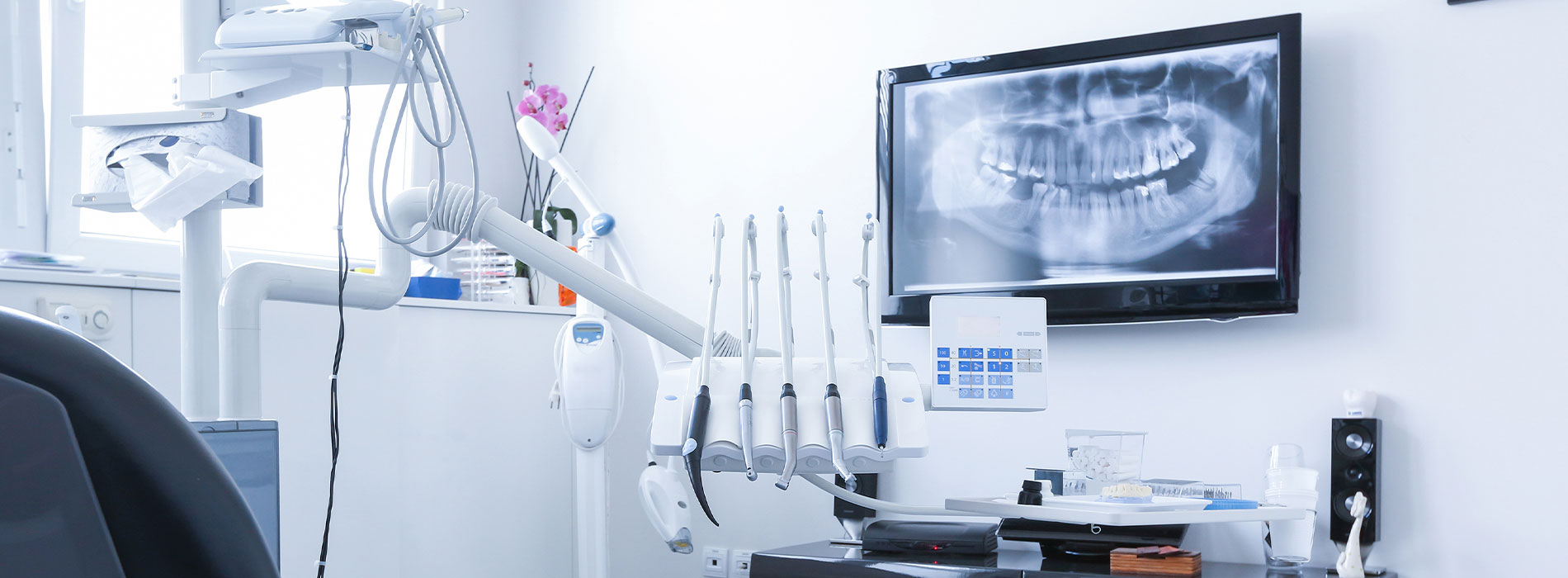 The Smile Company | Crowns, Sleep Apnea and Oral Exams