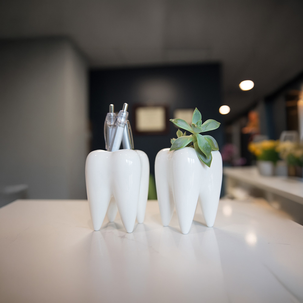 The Smile Company | Oral Exams, Root Canals and Panoramic Imaging